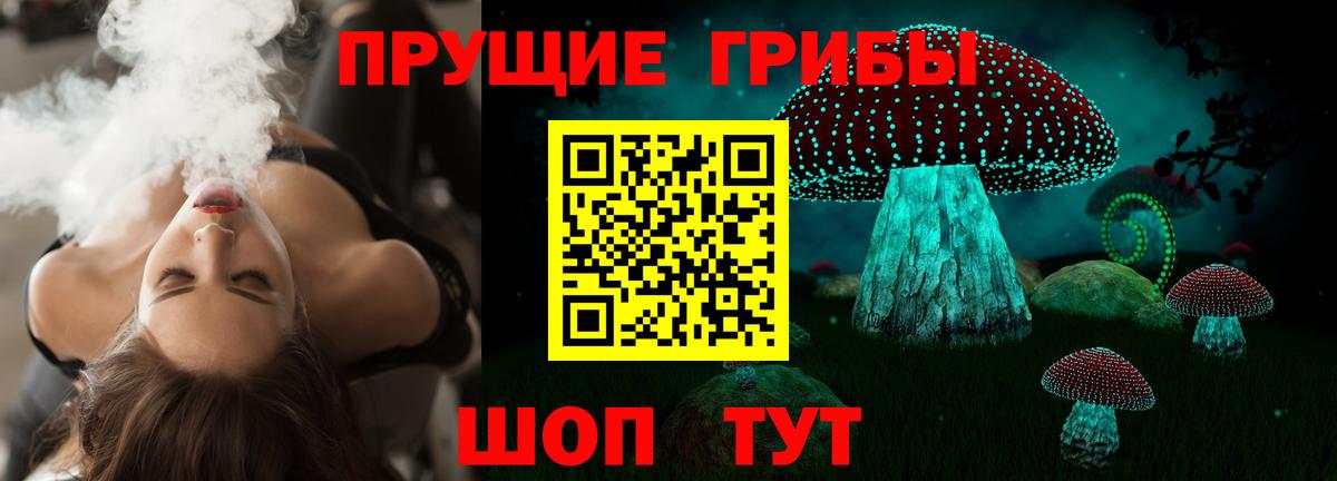 Асино  купить наркоту  Вход с VPN  Галлюциногенные грибы Cubensis  Псилоцибиновые грибы мицелий 